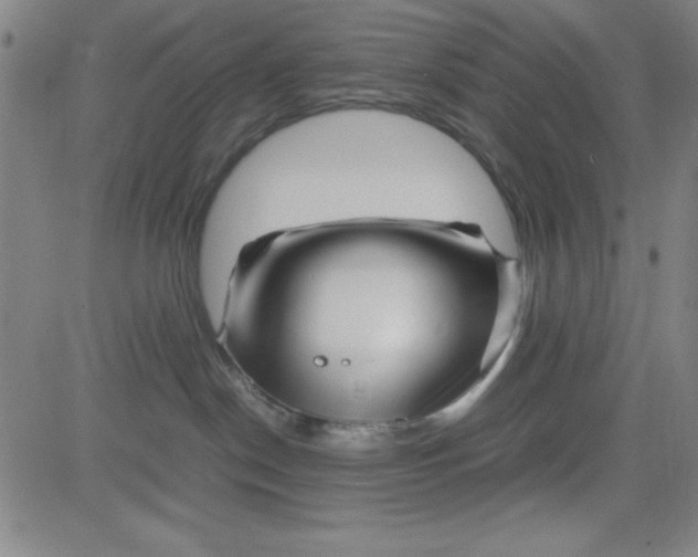 X0000081490190200702021932