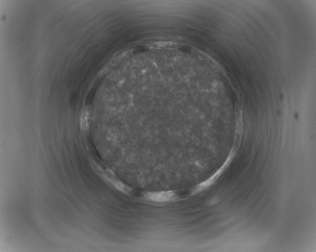 X0000081490191200702021932