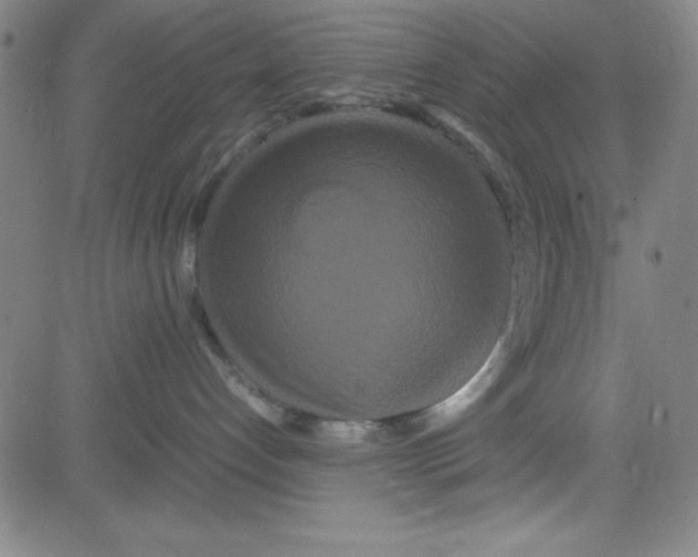 X0000081490192200702021932