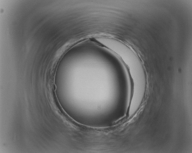 X0000081490193200702021931