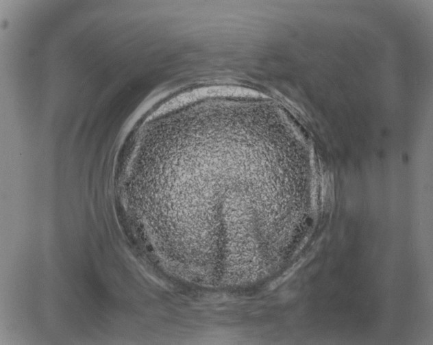 X0000081490195200702021931