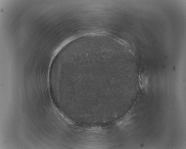 X0000081490196200702021931