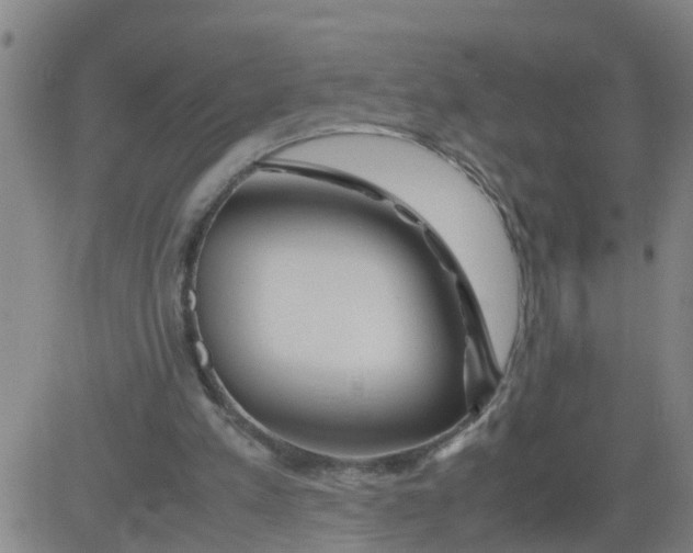 X0000081490197200702021931