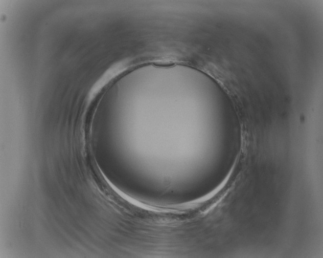 X0000081490198200702021931