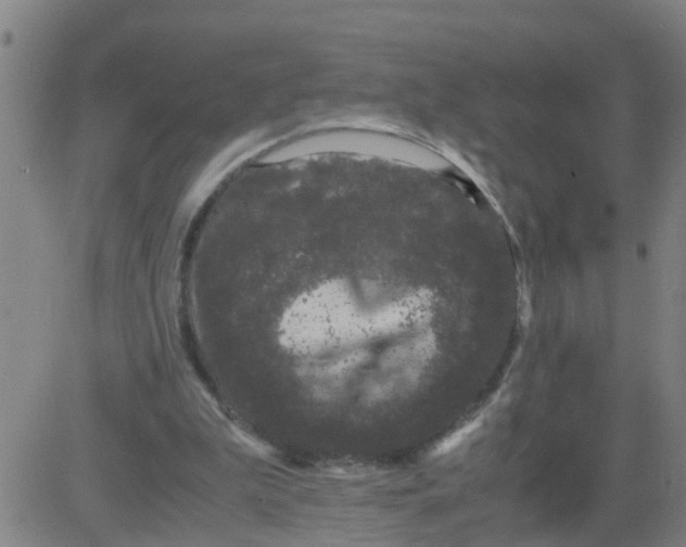 X0000081490199200702021931