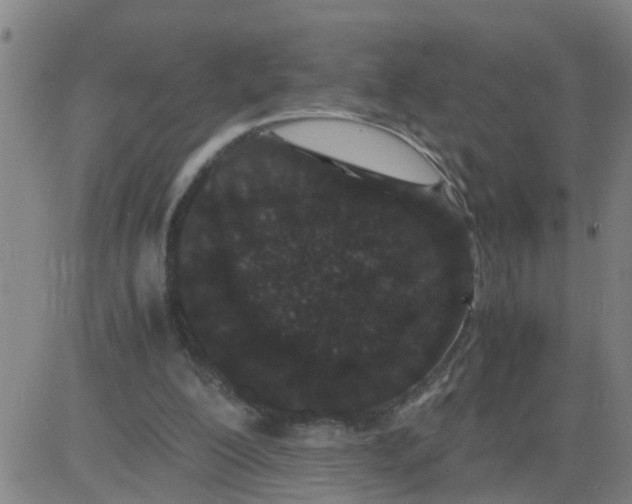 X0000081490200200702021931