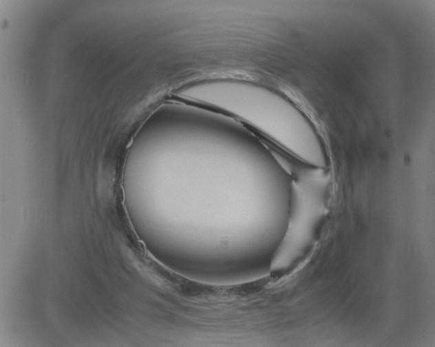 X0000081490201200702021931