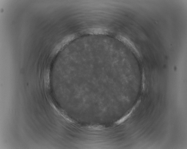 X0000081490202200702021931