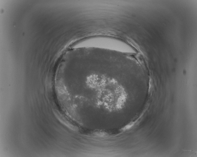 X0000081490203200702021931