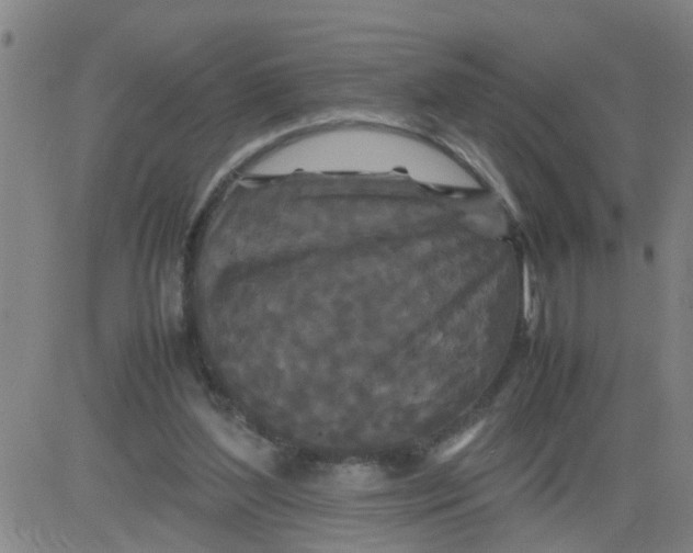 X0000081490204200702021931