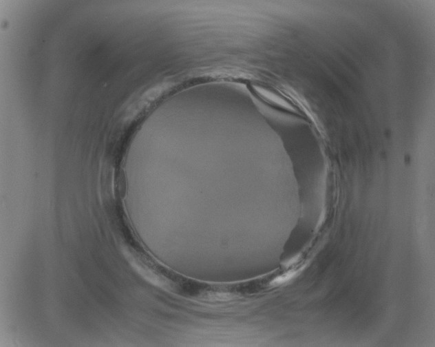 X0000081490205200702021931