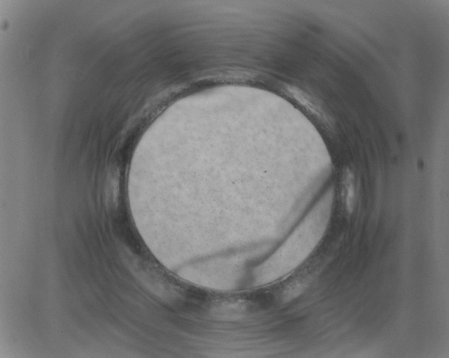 X0000081490206200702021931