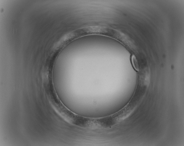 X0000081490207200702021931