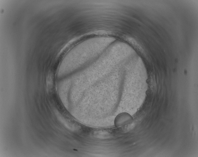 X0000081490208200702021931