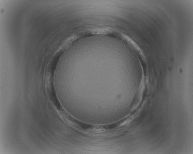 X0000081490209200702021931