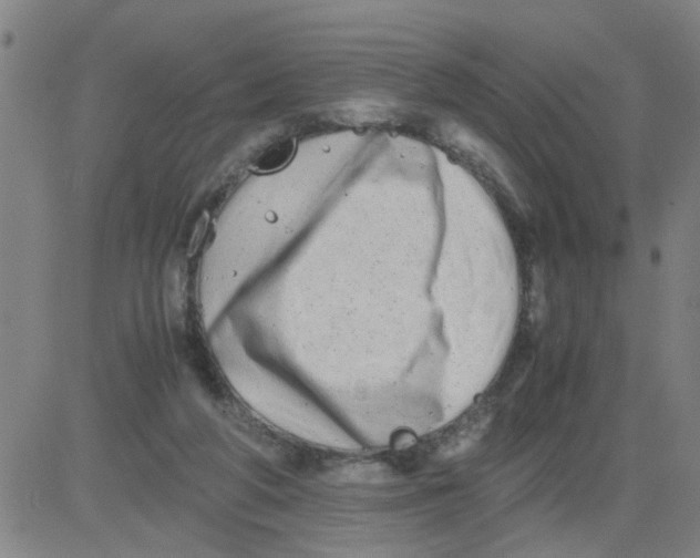 X0000081490210200702021931