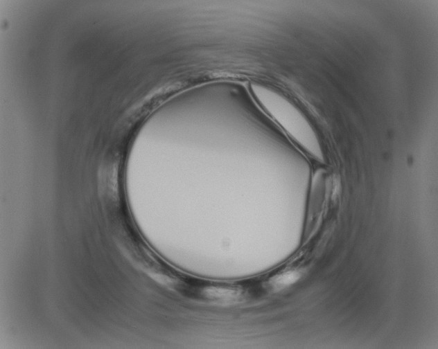 X0000081490211200702021931