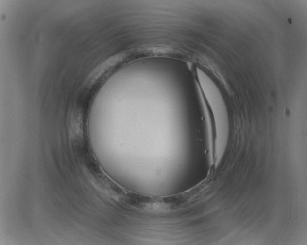 X0000081490212200702021931