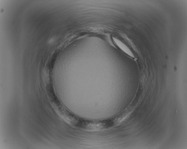 X0000081490213200702021931