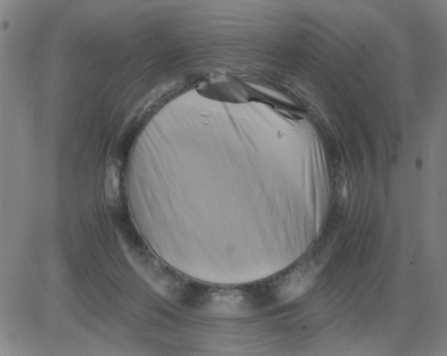 X0000081490214200702021931