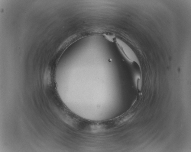 X0000081490216200702021931