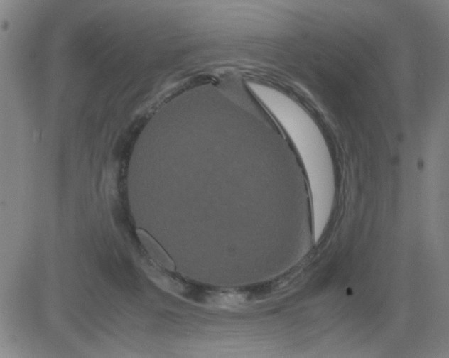 X0000081490217200702021931