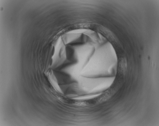 X0000081490218200702021931