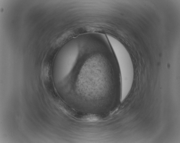 X0000081490219200702021931