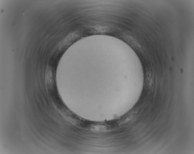 X0000081490220200702021931