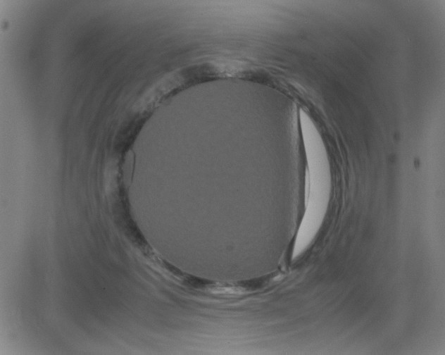 X0000081490221200702021931