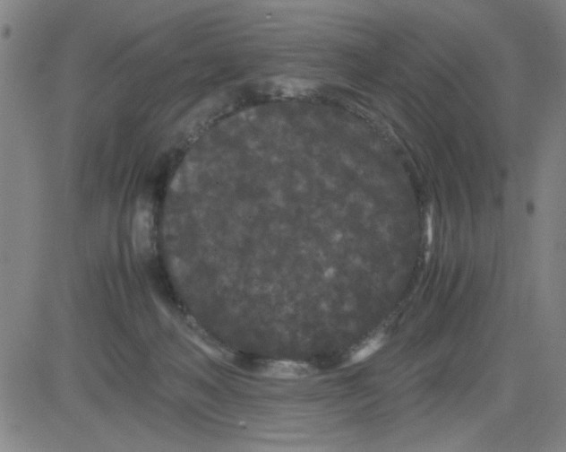 X0000081490222200702021931