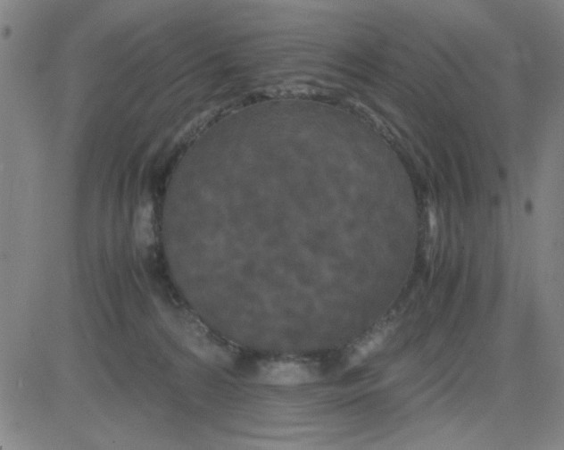 X0000081490224200702021931