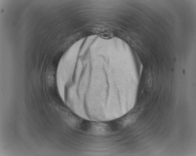 X0000081490226200702021931