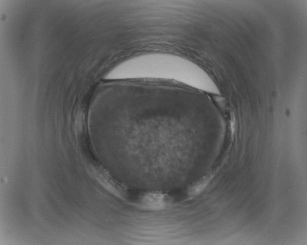 X0000081490227200702021931