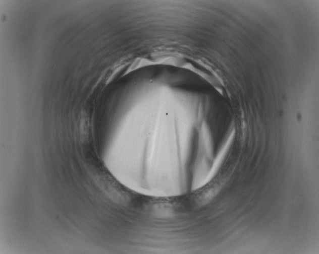 X0000081490228200702021931