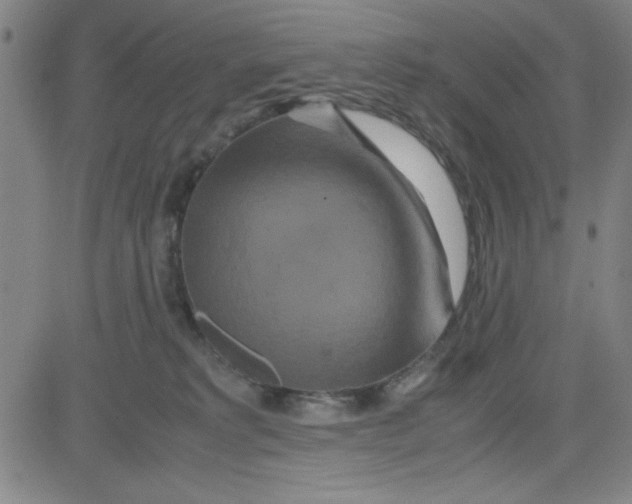 X0000081490229200702021931