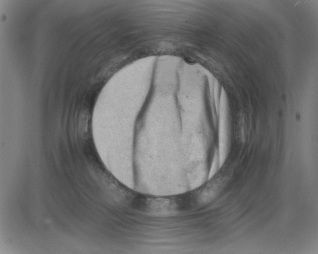 X0000081490230200702021931