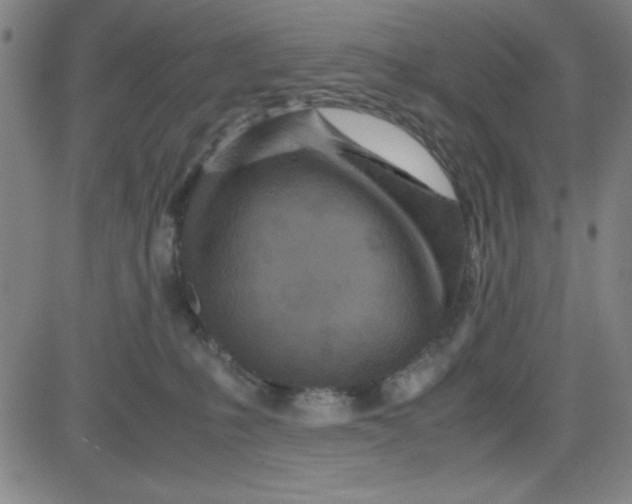 X0000081490231200702021930