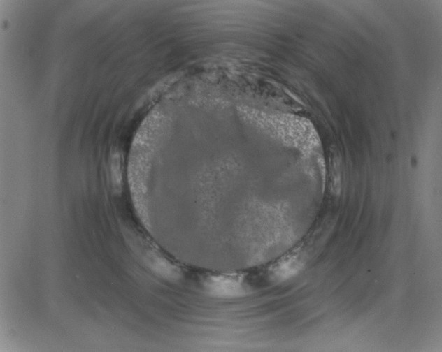 X0000081490232200702021930