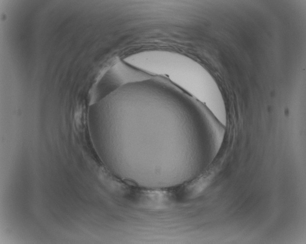 X0000081490233200702021930