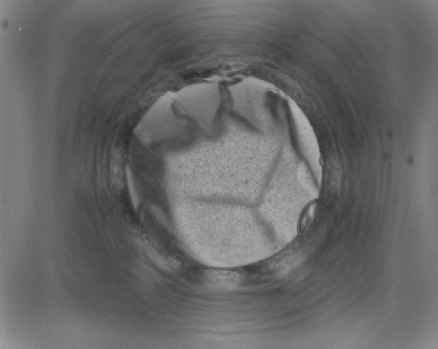 X0000081490234200702021930