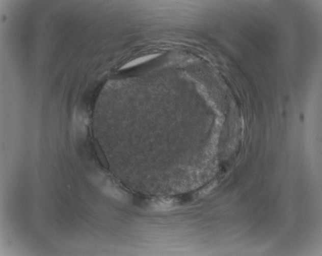 X0000081490235200702021930