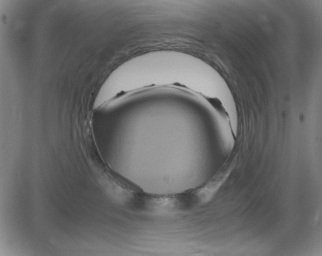 X0000081490237200702021930