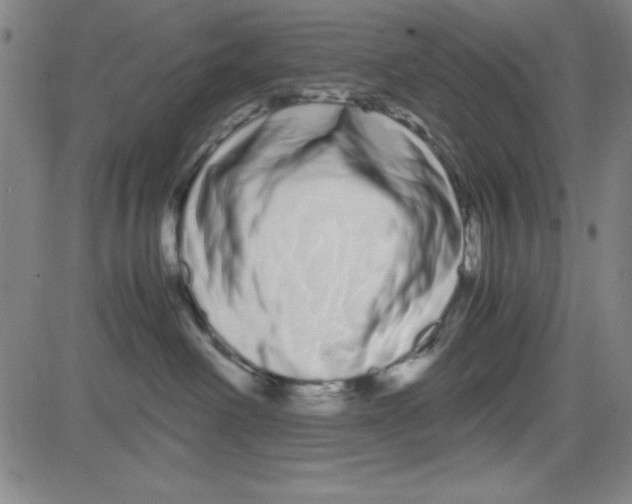 X0000081490238200702021930