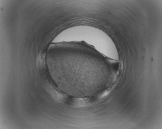 X0000081490239200702021930