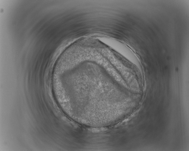 X0000081490241200702021930