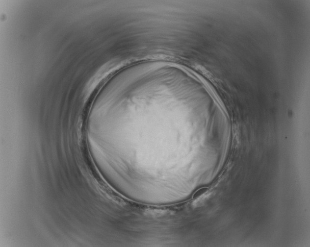 X0000081490242200702021930