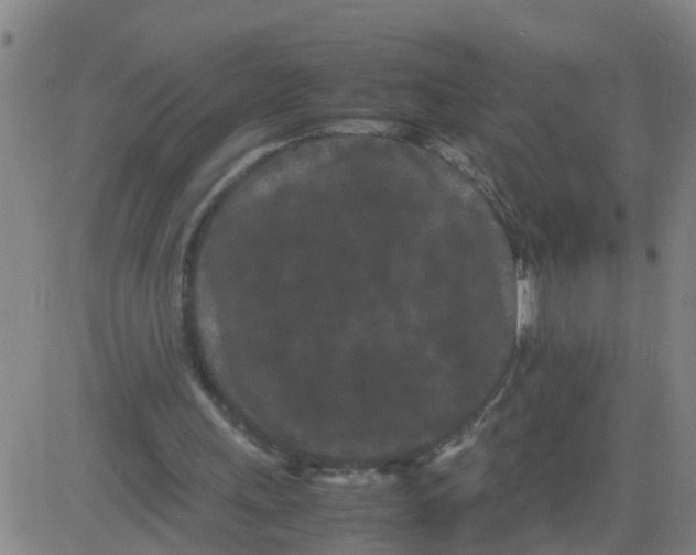 X0000081490243200702021930