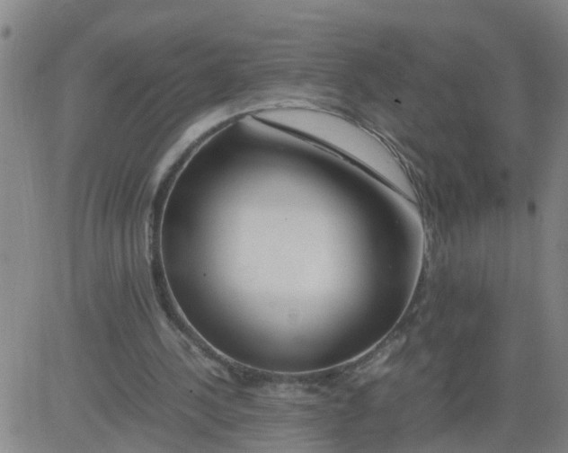 X0000081490244200702021930