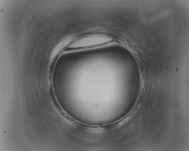 X0000081490245200702021930